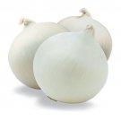 Gladalan White Onion Winter vegetable Seeds - Vegetable Home Garden - 50 Seeds