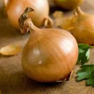 Vegetable Garden Onion Seed Creamgold vegetable Seeds - Vegetable Home Garden - 50 Seeds