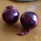 Onion RED ODOURLESS vegetable Seeds - Vegetable Home Garden - 100 Seeds