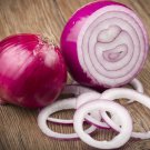 ONION Red Burgundy TOP SANDWICH ONION vegetable Seeds - Vegetable Home Garden - 100 Seeds