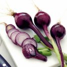 BUNCHING ONION Purplette vegetable Seeds - Vegetable Home Garden - 50 Seeds