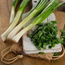 ONION (SPRING) Tokyo Long White vegetable Seeds - Vegetable Home Garden - 200 Seeds