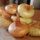 ONION Cipollini Brown vegetable Seeds - Vegetable Home Garden - 100 Seeds