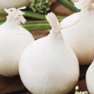 ONION Gladalan White vegetable Seeds - Vegetable Home Garden - 50 Seeds