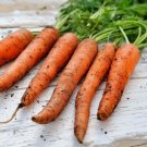Carrot- Scarlet Nantes vegetable Seeds - Vegetable Home Garden - 150 Seeds