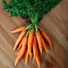 Carrot Baby Amsterdam vegetable Seeds - Vegetable Home Garden - 200 Seeds