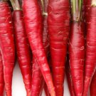Atomic Red Carrot Vegetable Seeds - Vegetable Home Garden - 200 Seeds