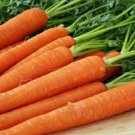 CARROT Mixed Vegetable Seeds - Vegetable Home Garden - 200 Seeds