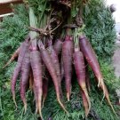Carrot seeds Purple Vegetable Seeds - Vegetable Home Garden - 10 Seeds