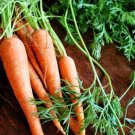 Carrot Seeds Easy Grow Vegetable Seeds - Vegetable Home Garden - 300 Seeds