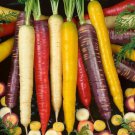 Colour Mix Purple Red Yellow Orange Vegetable Seeds - Vegetable Home Garden - 100 Seeds