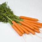 CARROT Supabunch BUNCHING Vegetable Seeds - Vegetable Home Garden - 400 Seeds