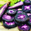 CARROT Black Nebula Vegetable Seeds - Vegetable Home Garden - 70 Seeds