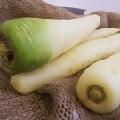 Carrot SNOW WHITE Vegetable Seeds - Vegetable Home Garden - 150 Seeds