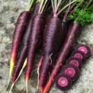 Purple Carrot Seeds Violet Carrot Vegetable Seeds - Vegetable Home Garden - 50 Seeds
