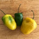 Manzana Peru Mexican Chili Pepper Vegetable Seeds - Vegetable Home Garden - 10 Seeds