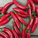 CHILLI Serrano Vegetable Seeds - Vegetable Home Garden - 20 Seeds