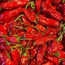 Birds Eye/Thai Chili Vegetable Seeds - Vegetable Home Garden - 12 Seeds