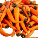 CHILLI Sunstrike Vegetable Seeds - Vegetable Home Garden - 10 Seeds