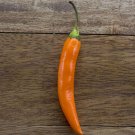 CHILLI ORANGE COBRA Vegetable Seeds - Vegetable Home Garden - 7 Seeds