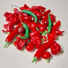 HEIRLOOM CHILI PEPPER SEEDS MIX Vegetable Seeds - Vegetable Home Garden - 30 Seeds