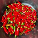 Thai Birds Eye Chili Pepper Vegetable Seeds - Vegetable Home Garden - 25 Seeds