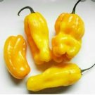Madame Jeanette PEPPER Sustainably Vegetable Seeds - Vegetable Home Garden - 10 Seeds