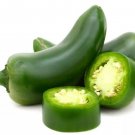 Jalapeño Chilli Pepper Vegetable Seeds - Vegetable Home Garden - 10 Seeds