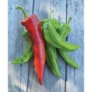 Giant Bull Horn Shape Pepper Chilli Vegetable Seeds - Vegetable Home Garden - 50 Seeds