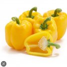 Capsicum Yellow Bell pepper very sweet Vegetable Seeds - Vegetable Home Garden - 30 Seeds