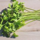Chinese Celery Light Green Vegetable Seeds - Vegetable Home Garden - 350 Seeds