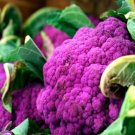 CAULIFLOWER "Purple Sicily" Vegetable Seeds - Vegetable Home Garden - 200 Seeds