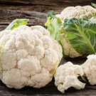 Cauliflower Phenomenal Early Vegetable Seeds - Vegetable Home Garden - 50 Seeds