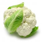 CAULIFLOWER Early Jesi Vegetable Seeds - Vegetable Home Garden - 100 Seeds