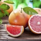 Grapefruit tree cutting Rio Red Ruby Plant Fruit - Home Garden cutting for rooting and propagation
