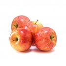 Apple tree Royal Gala scion Plant Cutting Flower - Home Garden cutting for grafting