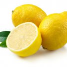Lemonade lemon tree Plant Cutting Fruit - Home Garden cutting for rooting and propagation