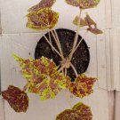 Rhizomatous Begonia 'Tiger Kitten' Home Rare Live Plant - Plant for Your Home Garden