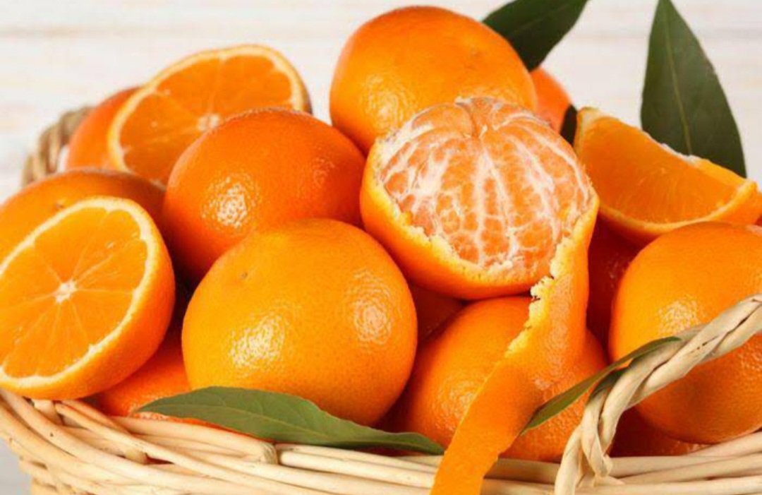 Washington Navel Orange Tree Plant Home Rare Live Plant - Plant for Your Home Garden