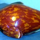 Blown Glass Sea Shell Decoration Fish