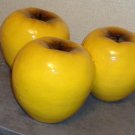 Three Giant Sized Golden Delicious Apples