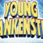 Young Frankenstein The Musical - Pro Shot - DVD