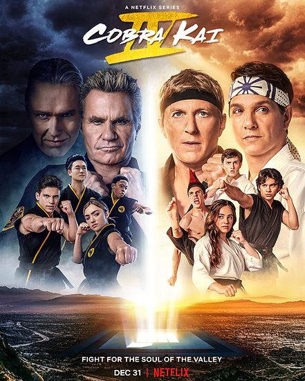 Cobra Kai - Season 4 - Blu Ray 2 Disc Set