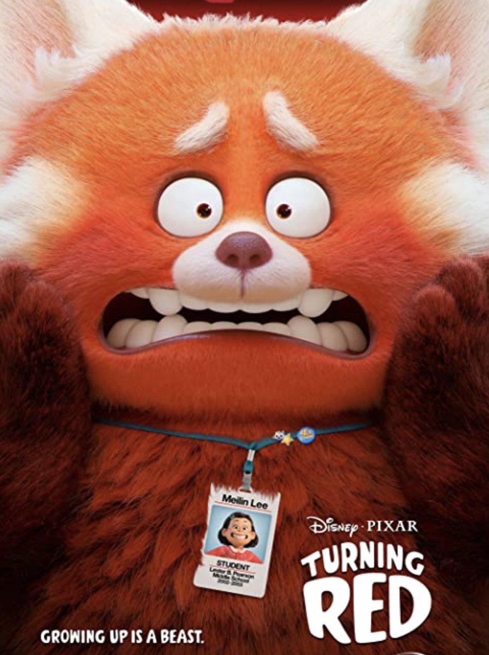 Turning Red - 2022 - Blu Ray