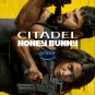 Citadel Honey Bunny - Season 1 - Blu Ray