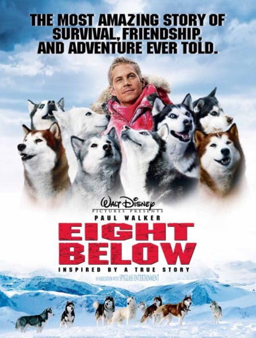 Eight Below - 2006 - Blu Ray