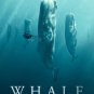 Whale With Steve Backshall - 2023 - Blu Ray