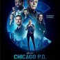 Chicago PD - Season 10 - Blu Ray