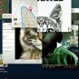 Don’t F**K with Cats Hunting An Internet Killer - Complete Series - Blu Ray