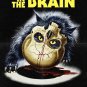 Nightmare Concert aka A Cat In The Brain - 1990 - Blu Ray